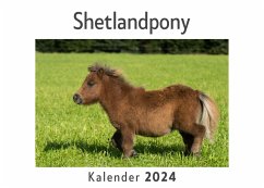 Shetlandpony (Wandkalender 2024, Kalender DIN A4 quer, Monatskalender im Querformat mit Kalendarium, Das perfekte Geschenk) - Müller, Anna