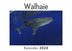 Walhaie (Wandkalender 2024, Kalender DIN A4 quer, Monatskalender im Querformat mit Kalendarium, Das perfekte Geschenk) - Müller, Anna