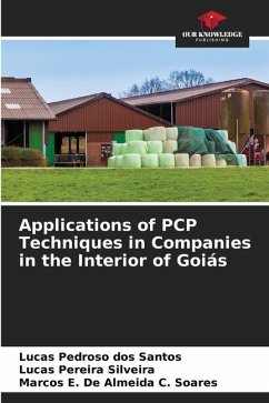 Applications of PCP Techniques in Companies in the Interior of Goiás - Pedroso dos Santos, Lucas;Pereira Silveira, Lucas;De Almeida C. Soares, Marcos E.