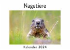 Nagetiere (Wandkalender 2024, Kalender DIN A4 quer, Monatskalender im Querformat mit Kalendarium, Das perfekte Geschenk)