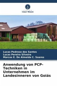 Anwendung von PCP-Techniken in Unternehmen im Landesinneren von Goiás - Pedroso dos Santos, Lucas;Pereira Silveira, Lucas;De Almeida C. Soares, Marcos E.