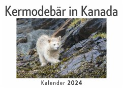 Kermodebär in Kanada (Wandkalender 2024, Kalender DIN A4 quer, Monatskalender im Querformat mit Kalendarium, Das perfekte Geschenk) - Müller, Anna