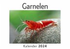 Garnelen (Wandkalender 2024, Kalender DIN A4 quer, Monatskalender im Querformat mit Kalendarium, Das perfekte Geschenk) Garnelen (Wandkalender 2024, Kalender DIN A4 quer, Monatskalender im Querformat mit Kalendarium, Das perfekte Geschenk)