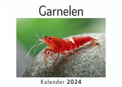 Cover Garnelen (Wandkalender 2024, Kalender DIN A4 quer, Monatskalender im Querformat mit Kalendarium, Das perfekte Geschenk)