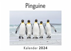 Pinguine (Wandkalender 2024, Kalender DIN A4 quer, Monatskalender im Querformat mit Kalendarium, Das perfekte Geschenk) - Müller, Anna