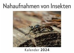 Nahaufnahmen von Insekten (Wandkalender 2024, Kalender DIN A4 quer, Monatskalender im Querformat mit Kalendarium, Das perfekte Geschenk) - Müller, Anna