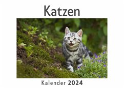 Katzen (Wandkalender 2024, Kalender DIN A4 quer, Monatskalender im Querformat mit Kalendarium, Das perfekte Geschenk) - Müller, Anna