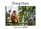 Orang-Utans (Wandkalender 2024, Kalender DIN A4 quer, Monatskalender im Querformat mit Kalendarium, Das perfekte Geschenk)