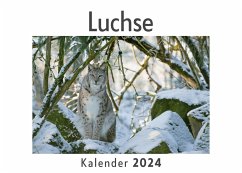 Luchse (Wandkalender 2024, Kalender DIN A4 quer, Monatskalender im Querformat mit Kalendarium, Das perfekte Geschenk) - Müller, Anna