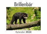 Brillenbär (Wandkalender 2024, Kalender DIN A4 quer, Monatskalender im Querformat mit Kalendarium, Das perfekte Geschenk)