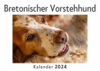 Bretonischer Vorstehhund (Wandkalender 2024, Kalender DIN A4 quer, Monatskalender im Querformat mit Kalendarium, Das perfekte Geschenk)