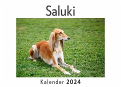 Saluki (Wandkalender 2024, Kalender DIN A4 quer, Monatskalender im Querformat mit Kalendarium, Das perfekte Geschenk) - Müller, Anna