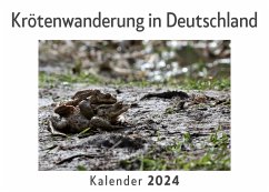 Krötenwanderung in Deutschland (Wandkalender 2024, Kalender DIN A4 quer, Monatskalender im Querformat mit Kalendarium, Das perfekte Geschenk) - Müller, Anna