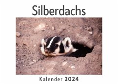 Silberdachs (Wandkalender 2024, Kalender DIN A4 quer, Monatskalender im Querformat mit Kalendarium, Das perfekte Geschenk) - Müller, Anna