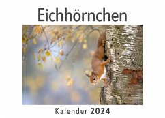 Eichhörnchen (Wandkalender 2024, Kalender DIN A4 quer, Monatskalender im Querformat mit Kalendarium, Das perfekte Geschenk) - Müller, Anna