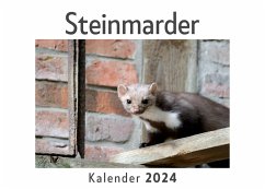 Steinmarder (Wandkalender 2024, Kalender DIN A4 quer, Monatskalender im Querformat mit Kalendarium, Das perfekte Geschenk) - Müller, Anna