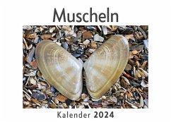 Cover Muscheln (Wandkalender 2024, Kalender DIN A4 quer, Monatskalender im Querformat mit Kalendarium, Das perfekte Geschenk)