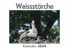 Weissstörche (Wandkalender 2024, Kalender DIN A4 quer, Monatskalender im Querformat mit Kalendarium, Das perfekte Geschenk) - Müller, Anna