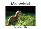 Mauswiesel (Wandkalender 2024, Kalender DIN A4 quer, Monatskalender im Querformat mit Kalendarium, Das perfekte Geschenk)