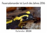 Der Feuersalamander (Wandkalender 2024, Kalender DIN A4 quer, Monatskalender im Querformat mit Kalendarium, Das perfekte Geschenk)