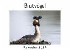 Brutvögel (Wandkalender 2024, Kalender DIN A4 quer, Monatskalender im Querformat mit Kalendarium, Das perfekte Geschenk)