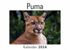 Puma (Wandkalender 2024, Kalender DIN A4 quer, Monatskalender im Querformat mit Kalendarium, Das perfekte Geschenk) - Müller, Anna