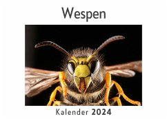 Wespen (Wandkalender 2024, Kalender DIN A4 quer, Monatskalender im Querformat mit Kalendarium, Das perfekte Geschenk) - Müller, Anna