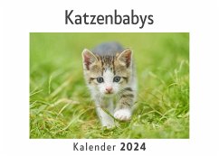 Katzenbabys (Wandkalender 2024, Kalender DIN A4 quer, Monatskalender im Querformat mit Kalendarium, Das perfekte Geschenk) - Müller, Anna