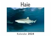 Haie (Wandkalender 2024, Kalender DIN A4 quer, Monatskalender im Querformat mit Kalendarium, Das perfekte Geschenk)