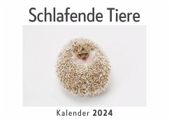 Schlafende Tiere (Wandkalender 2024, Kalender DIN A4 quer, Monatskalender im Querformat mit Kalendarium, Das perfekte Geschenk) - Müller, Anna