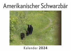 Amerikanischer Schwarzbär (Wandkalender 2024, Kalender DIN A4 quer, Monatskalender im Querformat mit Kalendarium, Das perfekte Geschenk) - Müller, Anna