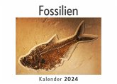 Fossilien (Wandkalender 2024, Kalender DIN A4 quer, Monatskalender im Querformat mit Kalendarium, Das perfekte Geschenk)