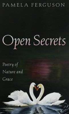 Open Secrets - Ferguson, Pamela