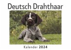 Deutsch Drahthaar (Wandkalender 2024, Kalender DIN A4 quer, Monatskalender im Querformat mit Kalendarium, Das perfekte Geschenk)
