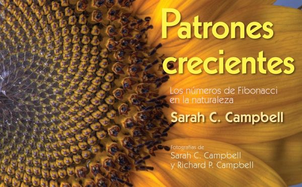 Patrones Crecientes (Growing Patterns) (eBook, ePUB) Patrones Crecientes (Growing Patterns) (eBook, ePUB)