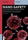 Nano-Safety (eBook, ePUB)
