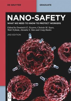 Cover Nano-Safety (eBook, ePUB)