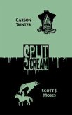 Split Scream Volume One (eBook, ePUB)
