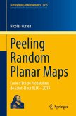 Peeling Random Planar Maps (eBook, PDF)
