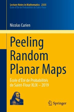 Peeling Random Planar Maps (eBook, PDF) - Curien, Nicolas