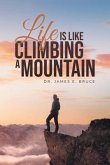 Life is Like Climbing a Mountain (eBook, ePUB)