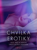 Chvilka erotiky: více než 9 hodin erotických povídek (eBook, ePUB)