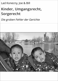 Cover Kinder, Umgangsrecht, Sorgerecht (eBook, ePUB)