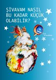 ŞİVAVAM NASIL BU KADAR KÜÇÜK OLABİLİR? (eBook, ePUB)