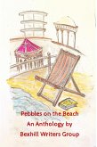 Pebbles on the Beach (eBook, ePUB)