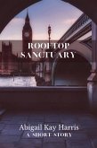 Rooftop Sanctuary (eBook, ePUB)