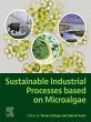 Sustainable Industrial Processes Based... - Bild 1