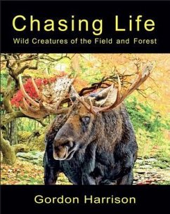Cover Chasing Life (eBook, ePUB)