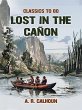 Lost in the Cañon (eBook, ePUB) - Bild 1