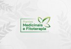 Plantas Medicinais (eBook, ePUB)